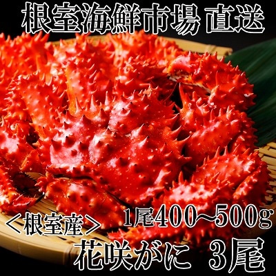 【北海道根室産】花咲ガニ400～500g×3尾 B-28121