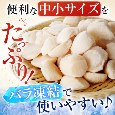 ＼漁業者応援品/お刺身用ほたて貝柱500g A-28002
