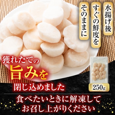 ＼漁業者応援品/ 刺身用ほたて貝柱250g G-11052