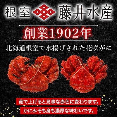 【北海道根室産】<鮭匠ふじい>ボイル花咲がに2～3尾(計約1kg) A-42084