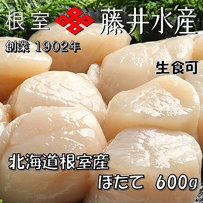 ＼漁業者応援品/【北海道根室産】お刺身帆立貝柱600g×1P B-42076