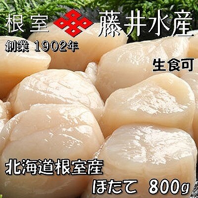 ＼漁業者応援品/【北海道根室産】お刺身帆立貝柱800g C-42072