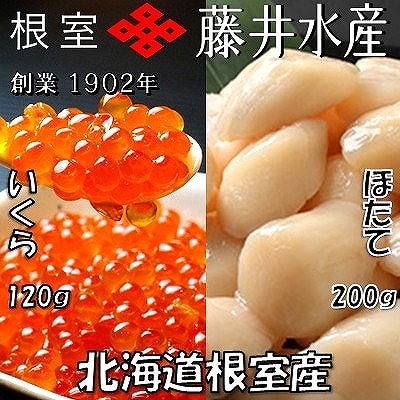 【北海道根室産】いくら醤油漬120g×1P・お刺身帆立貝柱200g A-42048