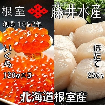 【北海道根室産】いくら醤油漬け120g×3P、お刺身帆立貝柱250g C-42073