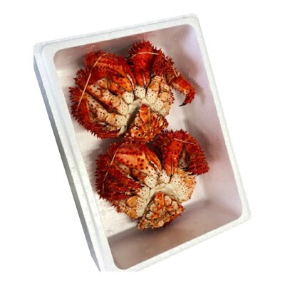 【北海道根室産】花咲かに400g前後～600g前後×2尾 A-30030