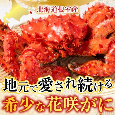 【北海道根室産】花咲かに300g前後～450g前後×3尾 A-30053