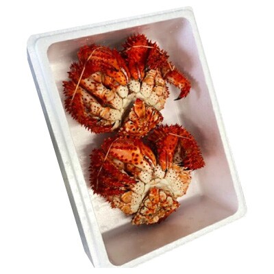 【北海道根室産】花咲かに500g前後～650g前後×2尾 B-30002