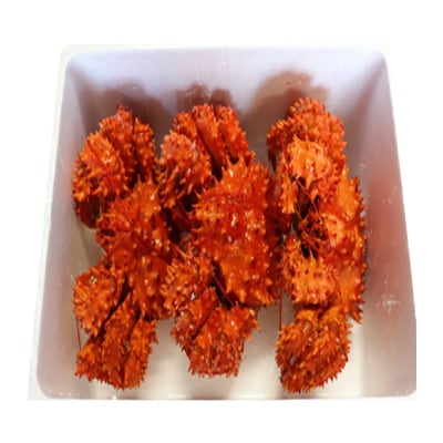 【北海道根室産】花咲かに400g前後～550g前後×3尾 B-30015