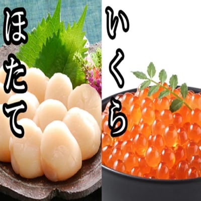 いくら醤油漬け100g×1P、ほたて貝柱500g×1P B-30019