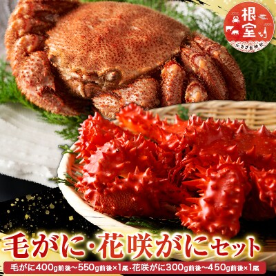 毛かに400～550g・花咲300～450g前後 B-30042