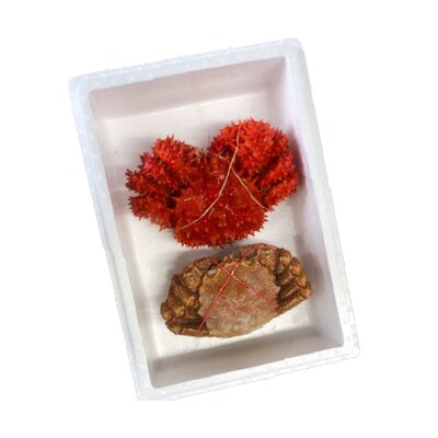 毛かに400～550g・花咲300～450g前後 B-30042