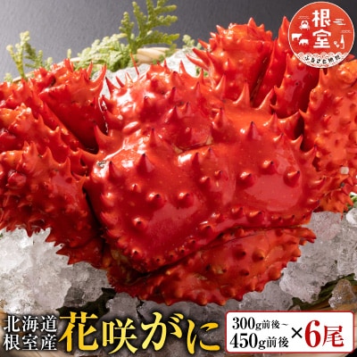 【北海道根室産】花咲かに300～450g前後×6尾 C-30005
