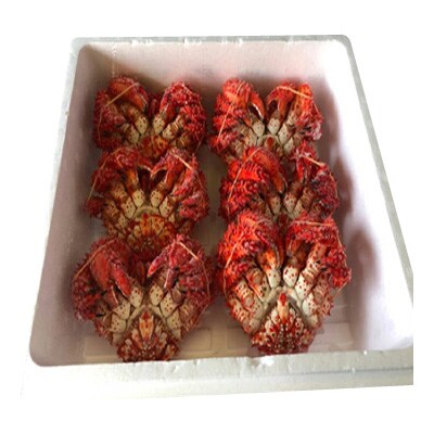 【北海道根室産】花咲かに300～450g前後×6尾 C-30005