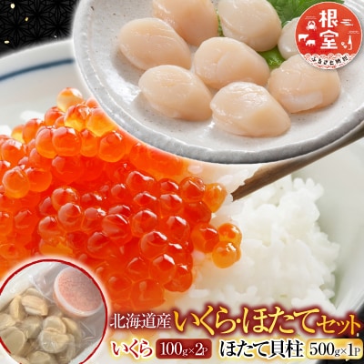 いくら醤油漬け100g×2P、ほたて貝柱500g C-30041