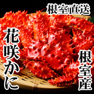 【北海道根室産】花咲かに400g前後～600g前後×2尾 A-36029