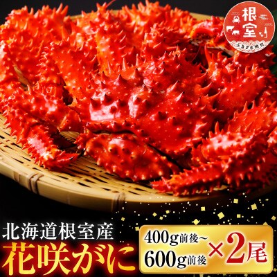 【北海道根室産】花咲かに400g前後～600g前後×2尾 A-36029
