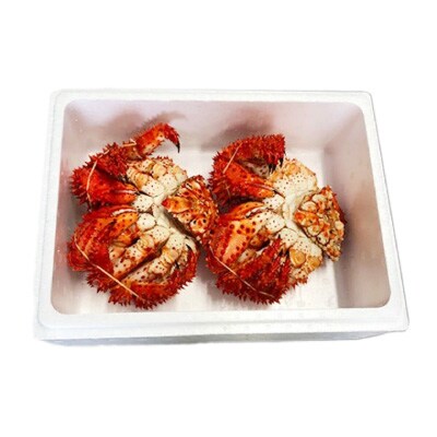 【北海道根室産】花咲かに400g前後～600g前後×2尾 A-36029