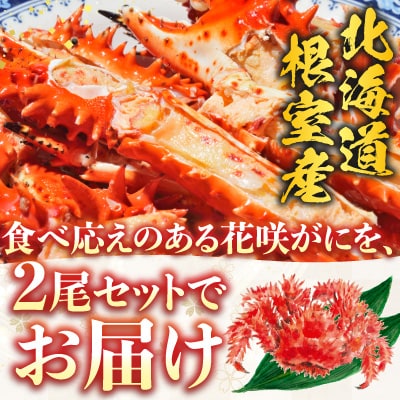 【北海道根室産】花咲かに500g前後～650g前後×2尾 B-36002