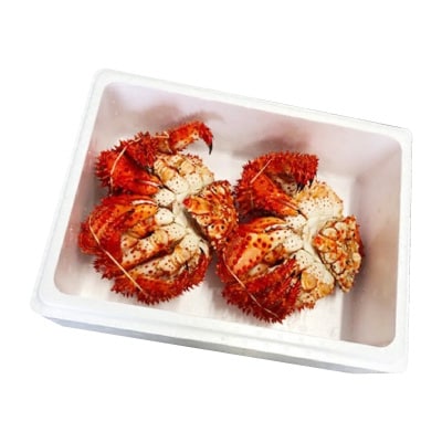 【北海道根室産】花咲かに500g前後～650g前後×2尾 B-36002