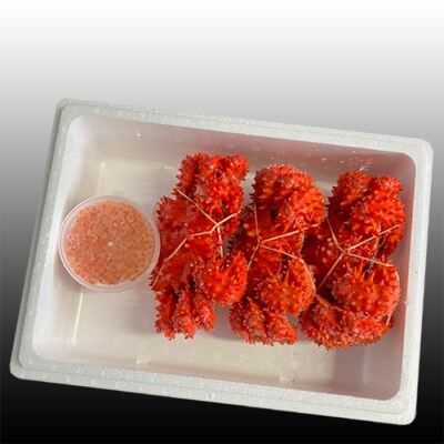 花咲かに300g前後～450g前後×3尾、いくら醤油漬け100g×1Pセット B-36012