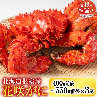【北海道根室産】花咲かに400g前後～550g前後×3尾 B-36015