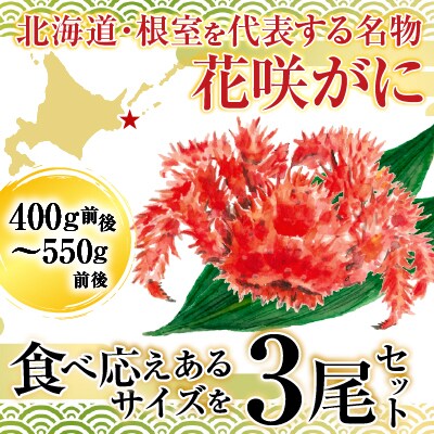 【北海道根室産】花咲かに400g前後～550g前後×3尾 B-36015