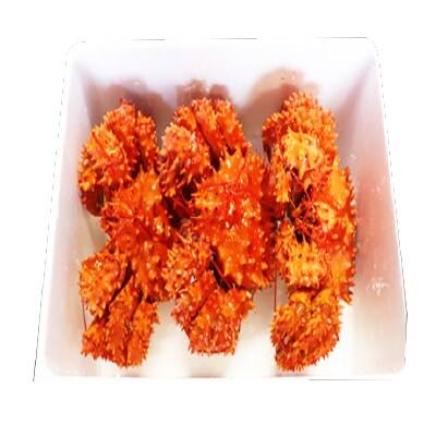 【北海道根室産】花咲かに400g前後～550g前後×3尾 B-36015