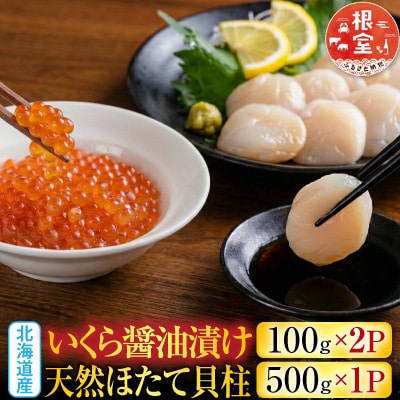 いくら醤油漬け100g×2P、ほたて貝柱500g C-36041