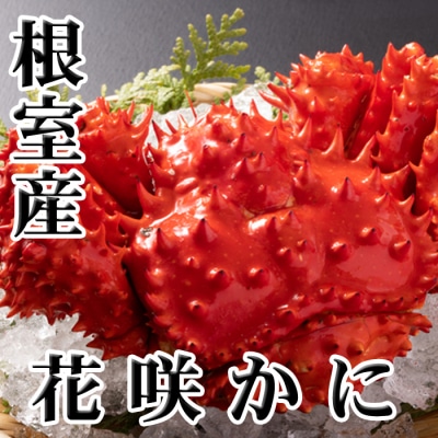 【北海道根室産】花咲かに400g前後～550g前後×3尾 B-70015