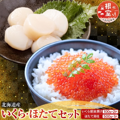 いくら醤油漬け100g×2P、ほたて貝柱500g C-70041