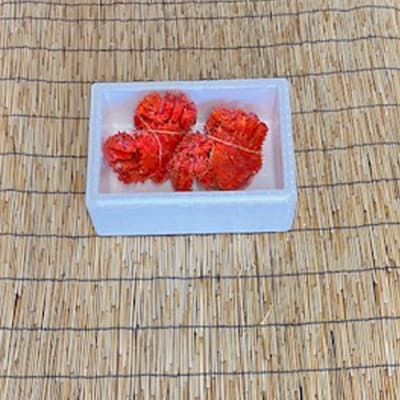 【北海道根室産】花咲かに400g前後～600g前後×2尾 A-76032