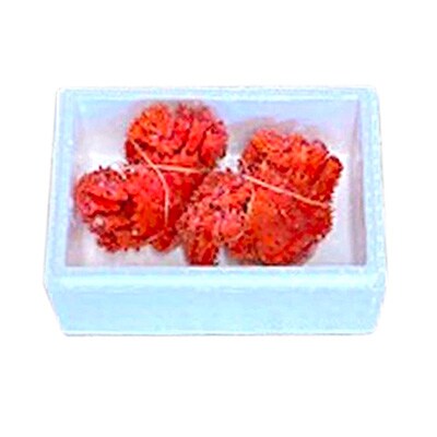 【北海道根室産】花咲かに400g前後～600g前後×2尾 A-76032