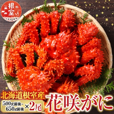 【北海道根室産】花咲かに500g前後～650g前後×2尾 B-76028