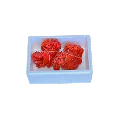 【北海道根室産】花咲かに500g前後～650g前後×2尾 B-76028