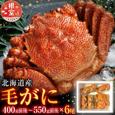 毛かに400g前後～550g前後×6尾 E-76004