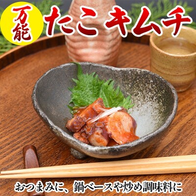 <12/21まで年内配送>万能たこキムチ120g×4P G-80002