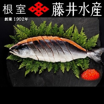 【北海道根室産】時しらず鮭1.5kg×1P・いくら醤油漬け100g×6P D-42067