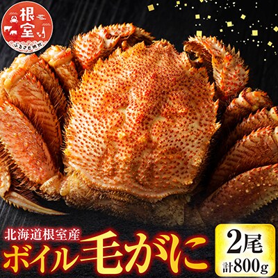 【北海道根室産】ボイル毛がに2尾(計800g) F-42016