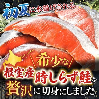 【北海道根室産】時しらず鮭切身600g×1P・1切×4P B-42112