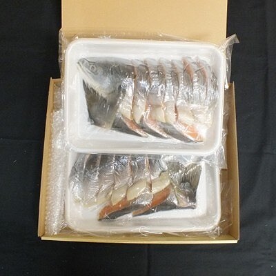 【北海道根室産】時しらず鮭切身600g×2P C-42100
