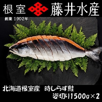 【北海道根室産】時しらず鮭切身1.5kg×2P D-42074