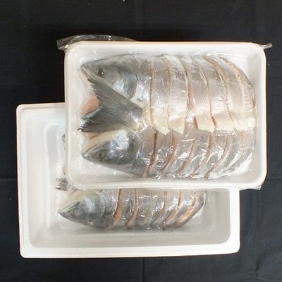 【北海道根室産】時しらず鮭切身1.5kg×2P D-42074