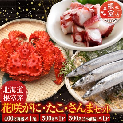 【北海道根室産】花咲かに・たこ・さんまセット A-19012