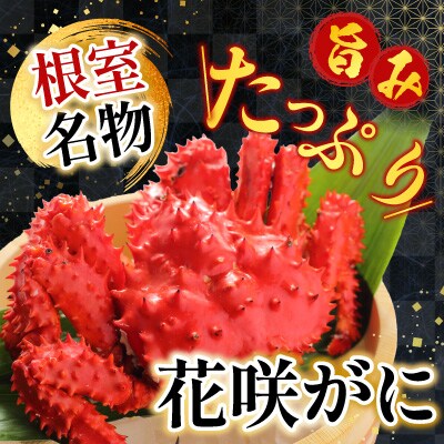 【北海道根室産】花咲かに・たこ・さんまセット A-19012