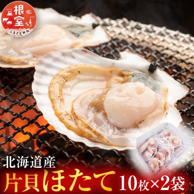 ＼漁業者応援品/根室海鮮市場<直送>片貝ほたて10枚×2P A-28124
