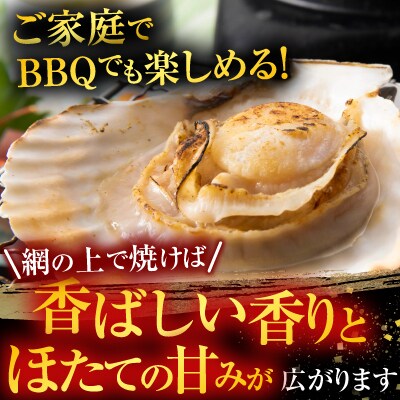 ＼漁業者応援品/根室海鮮市場<直送>片貝ほたて10枚×2P A-28124