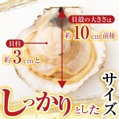 ＼漁業者応援品/根室海鮮市場<直送>片貝ほたて10枚×2P A-28124