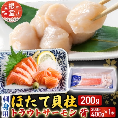 刺身用ほたて貝柱200g・トラウトサーモン300～400g A-14221