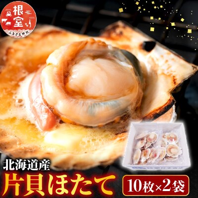 ＼漁業者応援品/片貝ほたて10枚×2P A-14134