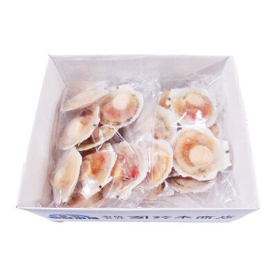 ＼漁業者応援品/片貝ほたて10枚×2P A-14134